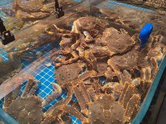 -连鹭海鲜·海肠捞饭·海胆饭(星海店)