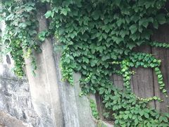 -清沐SPA生活馆(观前街店)