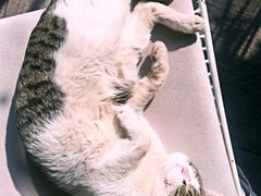 -UNI UNI(环亚凯瑟琳店)