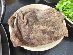 鲜毛肚-星鸿社重庆老火锅
