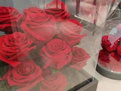 -ROSEONLY诺誓(广州K11店)