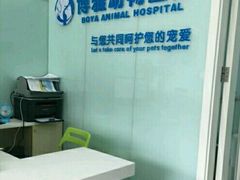 -纳吉亚猫专科动物医院博雅分院