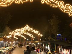 -西双版纳原始森林公园