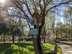 -黄海国家森林公园