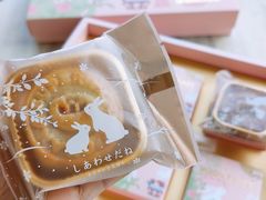 -MONANA蛋糕研究所