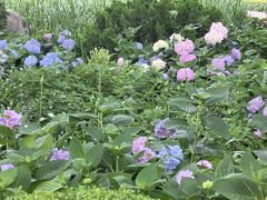 -静安公园(静安寺街道)