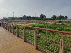 -东疆建设开发纪念公园