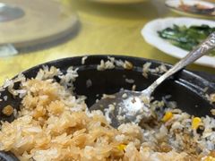 -煲来饱去冷水鱼