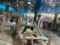 -栾川竹海野生动物园