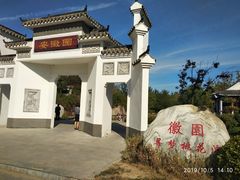 -武清南湖绿博园