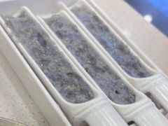 -蝎王府羊蝎子(北大地店)