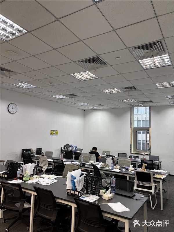 菠萝国际教育专注Alevel·IGCSE·IB·AP·托福雅思培训辅导(静安校区)图片