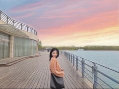 -大兴滨河森林公园