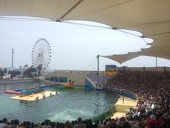 -秦皇岛乐岛海洋王国