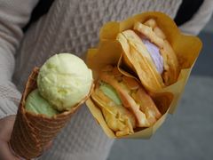 -成裕雪糕店(士多店)