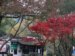 -瑶琳仙境