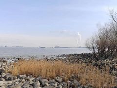 -上海吴淞炮台湾国家湿地公园