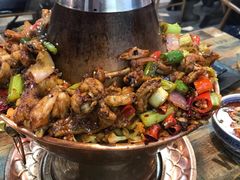 -蛙麻蛙辣炭火蛙锅(南环大街店)