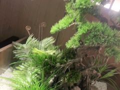 -湘邻呷铺·田园家宴(汉基广场店)