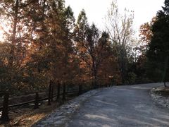 -白水寺森林公园