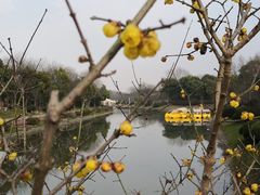 -上海海湾国家森林公园