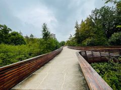 -昆山城市生态森林公园