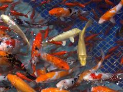 -万达茂商场(南京仙林店)