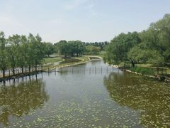 android_upload_pic-北京麋鹿生态实验中心