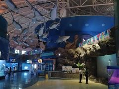 -烟台海昌鲸鲨海洋公园