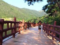 -徂徕山森林康养度假谷温泉