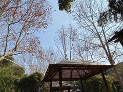 -春晖园度假酒店温泉