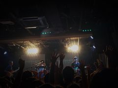 -坚果NUTS