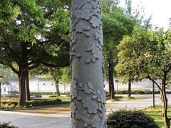 -南京双门楼宾馆(盐仓桥地铁站阅江楼店)