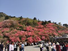 -木兰云雾山