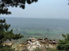 -养马岛旅游度假区