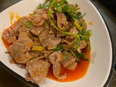 -西单翅酷(西单店)