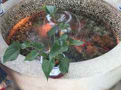 -热带雨林汗蒸馆(汶水东路店)