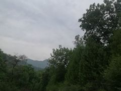 -北京鹫峰国家森林公园