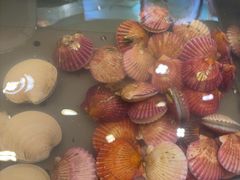 -海天盛宴新派海鲜自助餐厅(群力店)