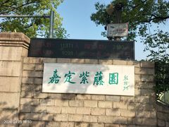 -嘉定紫藤园