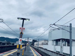 -奈良公园