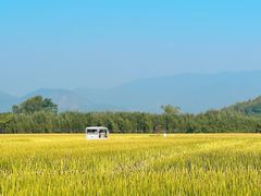 -良渚古城遗址公园