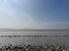 -深圳湾公园(南山区)
