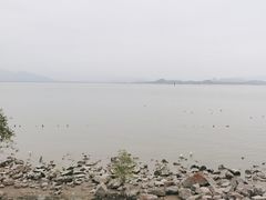 -深圳湾公园(南山区)