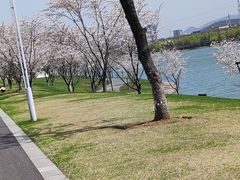 -羊山湖公园
