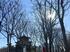 -河北省园博园