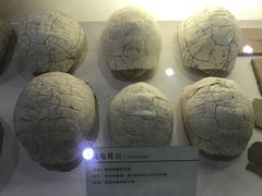 -中国第四纪冰川遗迹陈列馆