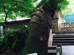 -青岛崂山太清宫
