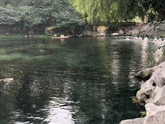 -百脉泉景区