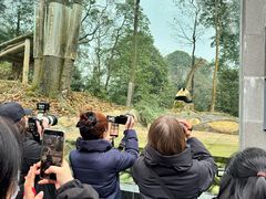 -中国大熊猫保护研究中心雅安碧峰峡基地